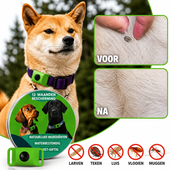 TickGuard | Natuurlijke Anti-Teek & Vlooien Hanger voor Honden