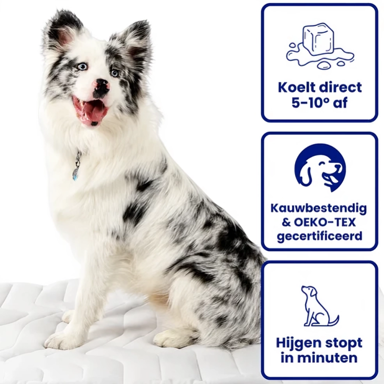 CoolMat | Verkoelende Ligmat voor Honden & Katten