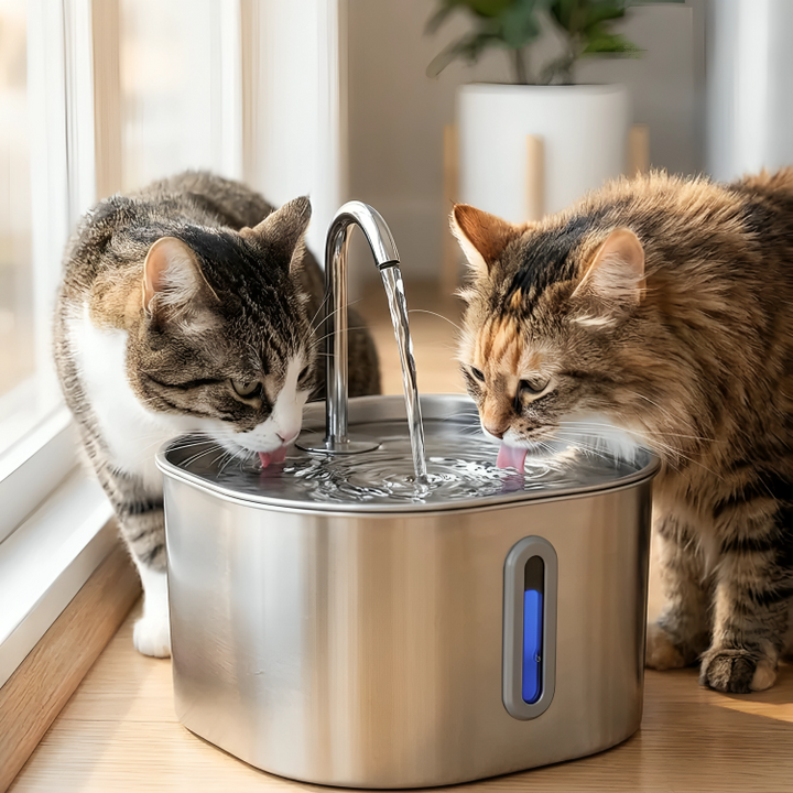 AquaPoot | Drinkfontein voor Katten