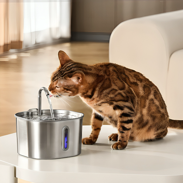 AquaPoot | Drinkfontein voor Katten