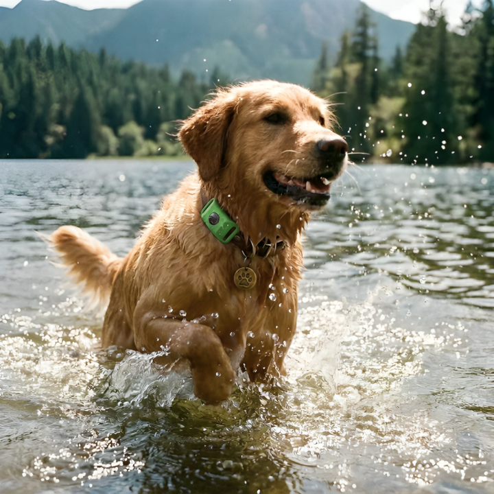 TickGuard | Natuurlijke Anti-Teek & Vlooien Hanger voor Honden