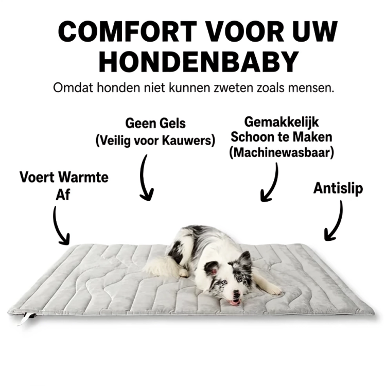 CoolMat | Verkoelende Ligmat voor Honden & Katten