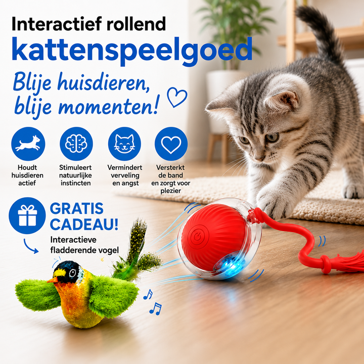 Speelbal | Slim Spelen Zonder Verveling