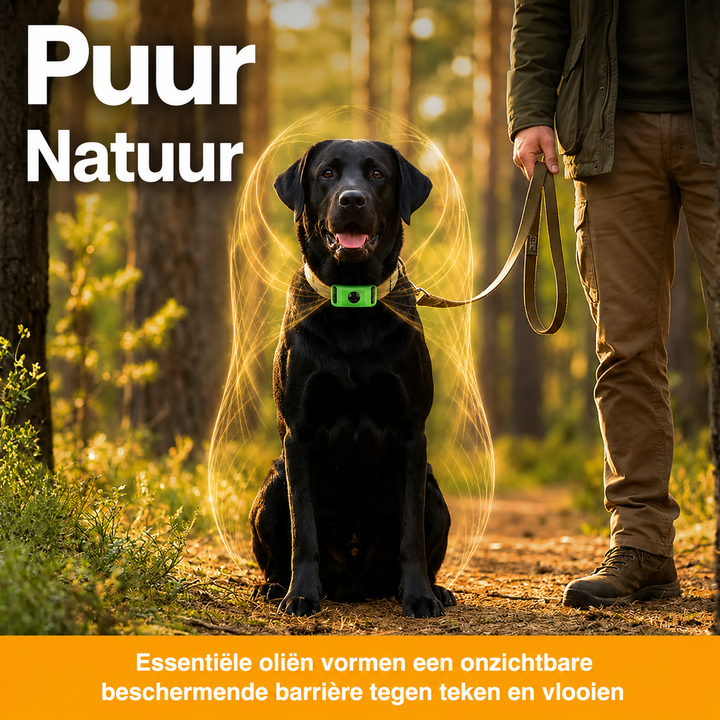 TickGuard | Natuurlijke Anti-Teek & Vlooien Hanger voor Honden