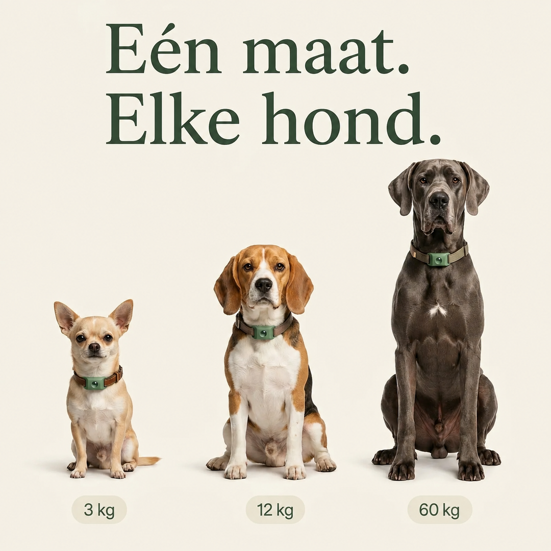 TickGuard | Natuurlijke Anti-Teek & Vlooien Hanger voor Honden
