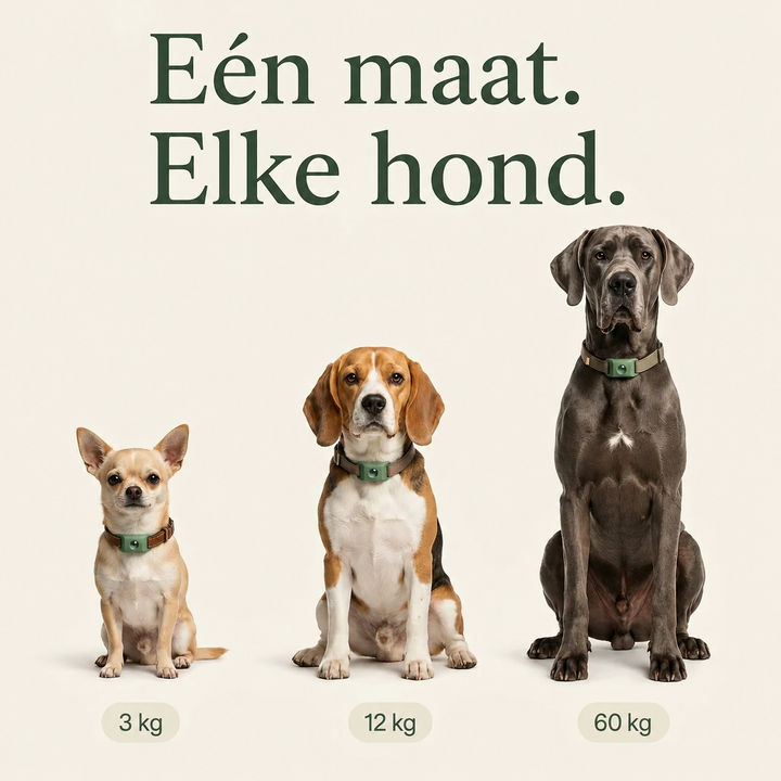 TickGuard | Natuurlijke Anti-Teek & Vlooien Hanger voor Honden